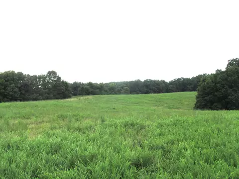 S Bob Veach Rd, Ashland, MO 65010 photo 32