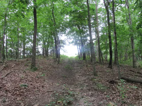 S Bob Veach Rd, Ashland, MO 65010 photo 28