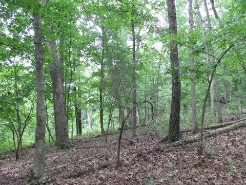 S Bob Veach Rd, Ashland, MO 65010 photo 29