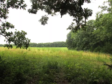 S Bob Veach Rd, Ashland, MO 65010 photo 30