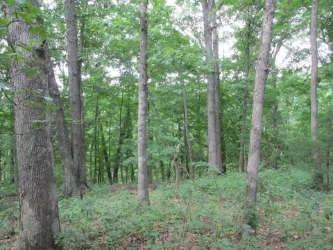 S Bob Veach Rd, Ashland, MO 65010 photo 5