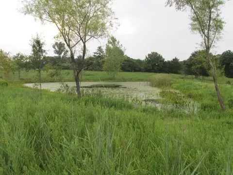 S Bob Veach Rd, Ashland, MO 65010 photo 35