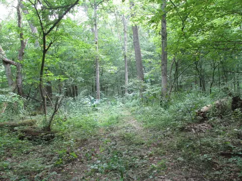 S Bob Veach Rd, Ashland, MO 65010 photo 21