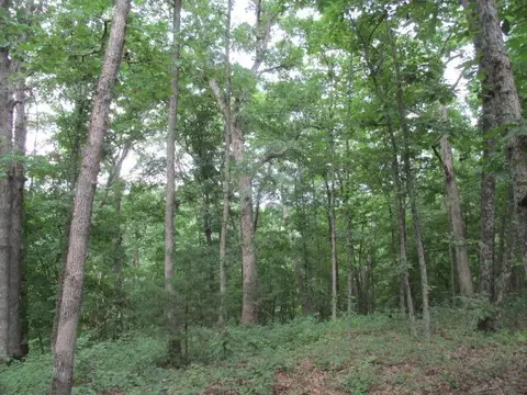 S Bob Veach Rd, Ashland, MO 65010 photo 6