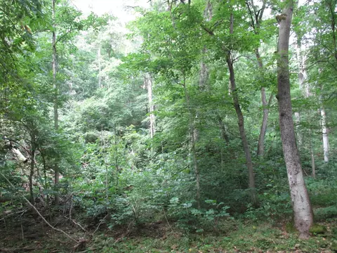 S Bob Veach Rd, Ashland, MO 65010 photo 14