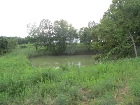S Bob Veach Rd, Ashland, MO 65010 photo 36