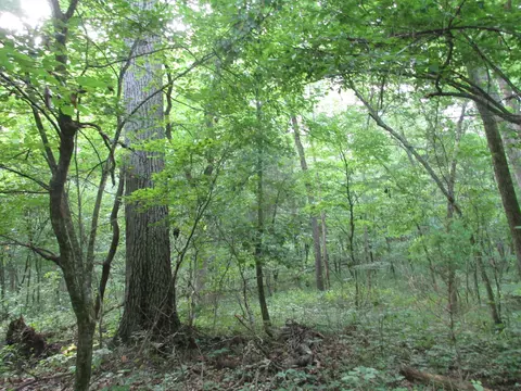 S Bob Veach Rd, Ashland, MO 65010 photo 22