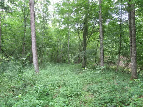 S Bob Veach Rd, Ashland, MO 65010 photo 27