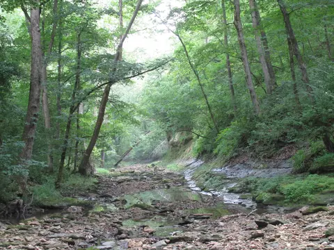 S Bob Veach Rd, Ashland, MO 65010 photo 19