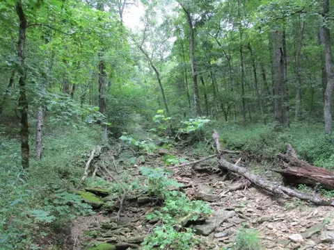 S Bob Veach Rd, Ashland, MO 65010 photo 8