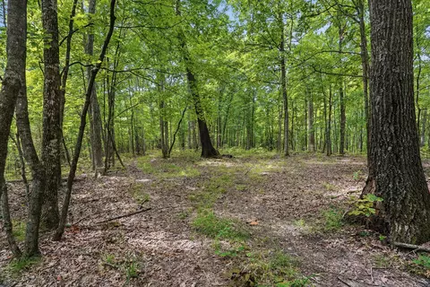 40 E Ac E Dee Woods Rd, Ashland, MO 65010 photo 4
