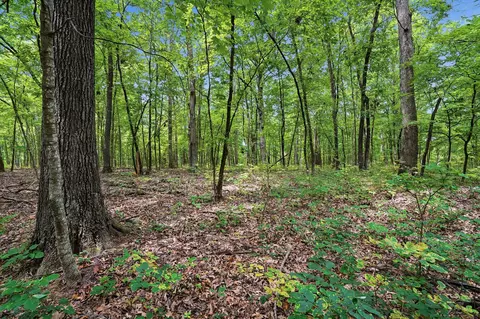 40 E Ac E Dee Woods Rd, Ashland, MO 65010 photo 3