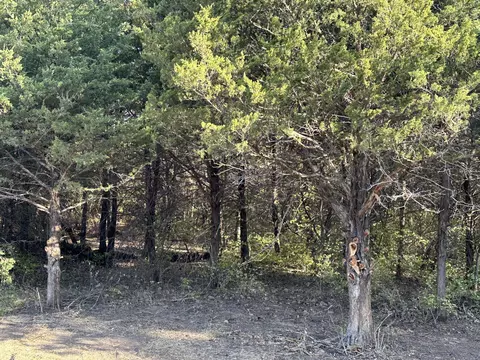 Tract 2b Hwy Ff & Ar 935, Mexico, MO 65265 photo 5