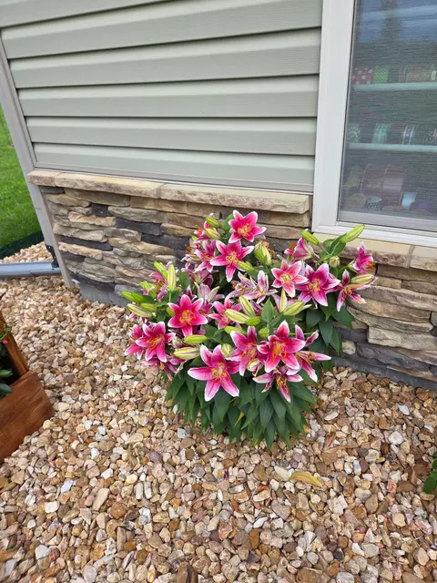 Other - 2675 E Highway Cc, Sturgeon, MO 65284 photo 2 of 11