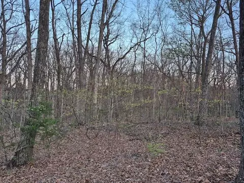 Other - 8248 State Highway Cc, Steedman, MO 65077 photo 4 of 12