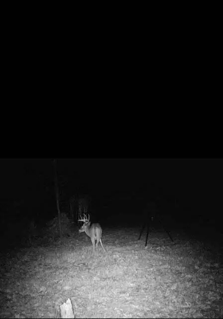 Other - 6082 Okeefe Ridge Rd, Williamsburg, MO 63388 photo 2 of 6