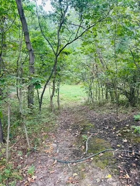 Other - 6082 Okeefe Ridge Rd, Williamsburg, MO 63388 photo 1 of 6