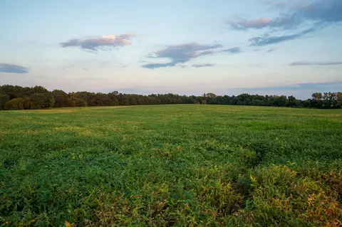 000 State Road Hh, Fulton, MO 65251 photo 16