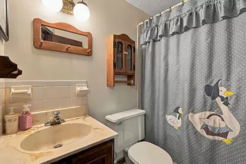 Bath - 52 Lee Dr, Holts Summit, MO 65043 photo 3 of 3