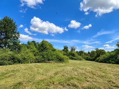 tbd Tract 9 490 Ac State Road Aa, Holts Summit, MO 65043 photo 3