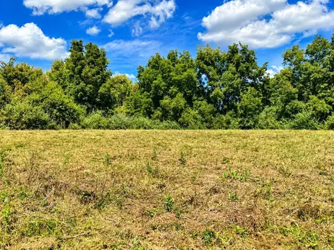 tbd Tract 6 557 Ac State Rd Aa, Holts Summit, MO 65043 photo 8