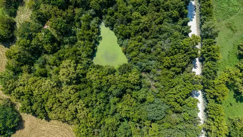 tbd Tract 2 357 Ac County Rd 4008, Holts Summit, MO 65043 photo 2