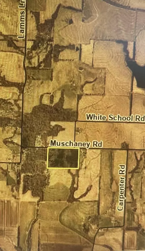 Muschaney Rd, Smithton, MO 65350