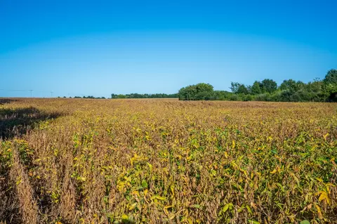 000 E Hwy 24, Moberly, MO 65270 photo 10
