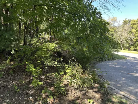 Belleview Ct, Columbia, MO 65203 photo 6
