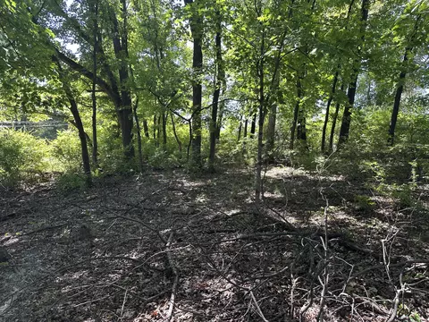 Belleview Ct, Columbia, MO 65203 photo 7
