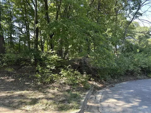 Belleview Ct, Columbia, MO 65203 photo 3
