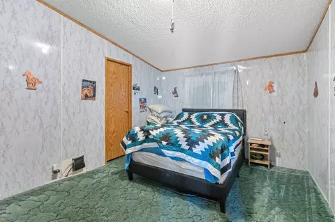 Bedroom - 36138 Highway 5, Salisbury, MO 65281 photo 3 of 5
