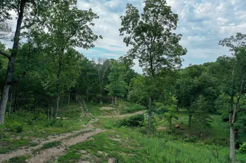 2680 Eagle View Spur, Holts Summit, MO 65043 photo 6