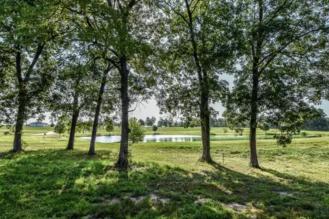 2680 Eagle View Spur, Holts Summit, MO 65043 photo 19