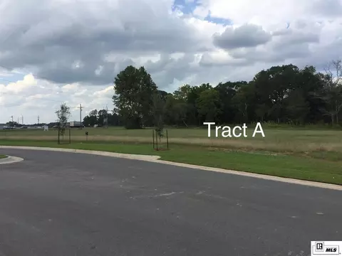 8192 Highway 165, Sterlington, LA 71203 photo 3