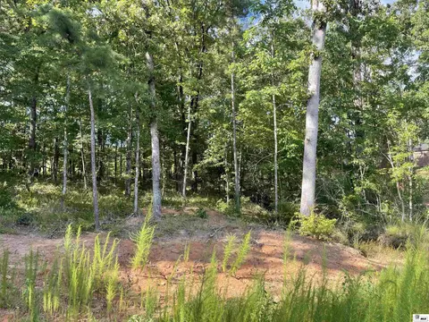 000 Shade Tree Trce, Ruston, LA 71270 photo 2
