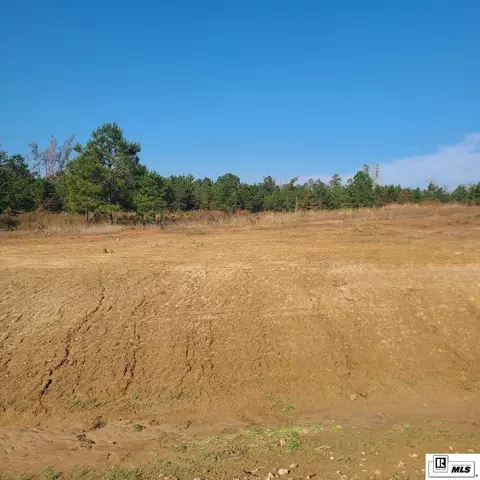 131 Simba Ln, Calhoun, LA 71225 photo 5