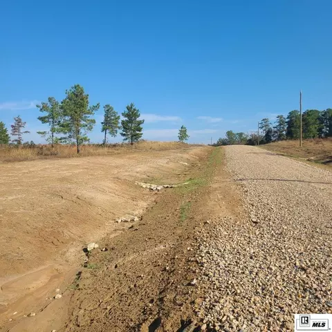 131 Simba Ln, Calhoun, LA 71225 photo 3
