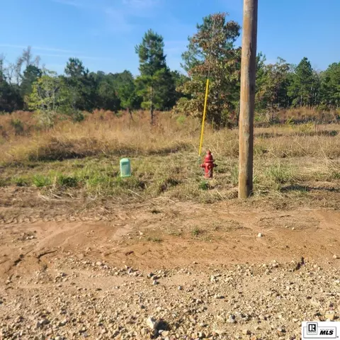 131 Simba Ln, Calhoun, LA 71225 photo 2