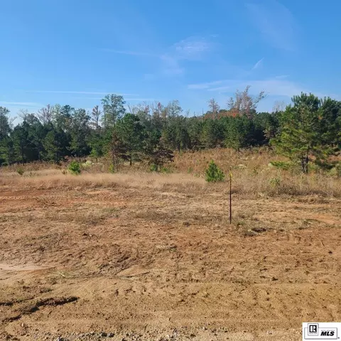 155 Simba Ln, Calhoun, LA 71225 photo 1