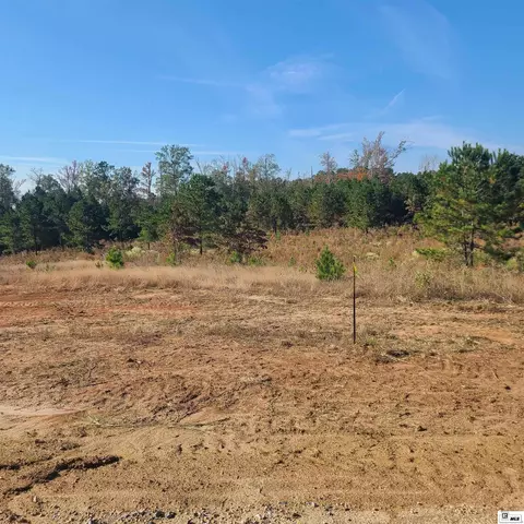 316 Chief Ln, Calhoun, LA 71225