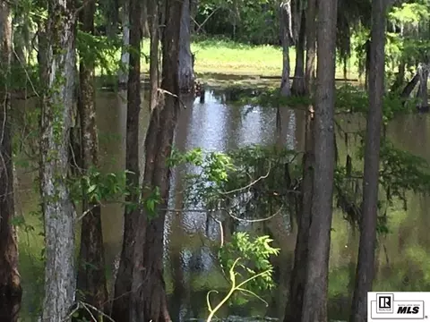 9176 Desiard Trce, Sterlington, LA 71280