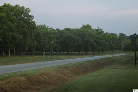 113 Aidan Ln, Monroe, LA 71203 photo 3
