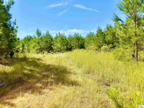 1094 Roach Rd, Choudrant, LA 71227 photo 11