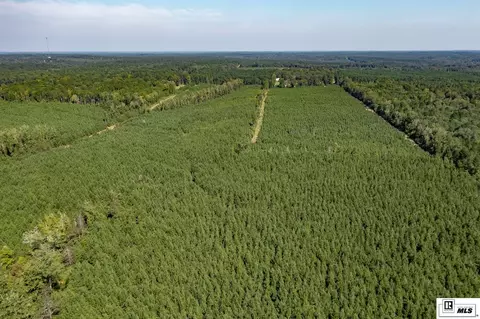 1094 Roach Rd, Choudrant, LA 71227 photo 10