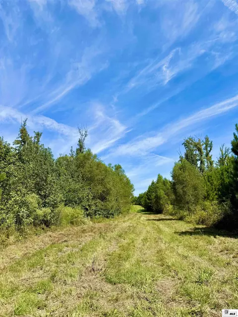 1094 Roach Rd, Choudrant, LA 71227 photo 27