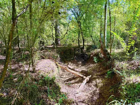 1094 Roach Rd, Choudrant, LA 71227 photo 9