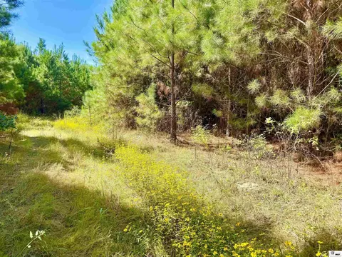 1094 Roach Rd, Choudrant, LA 71227 photo 10