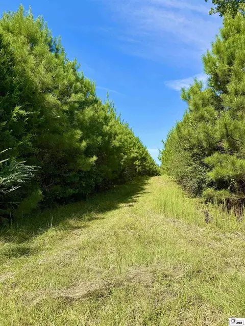 1094 Roach Rd, Choudrant, LA 71227 photo 25