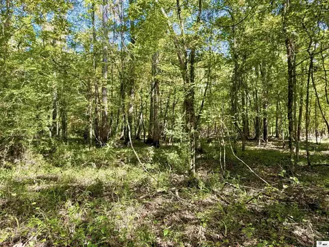 1094 Roach Rd, Choudrant, LA 71227 photo 22